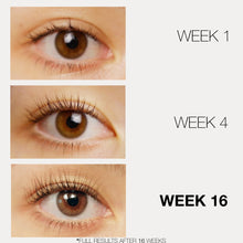 Load image into Gallery viewer, LASHFOOD Phyto-Medic Natural Eyelash Enhancer
