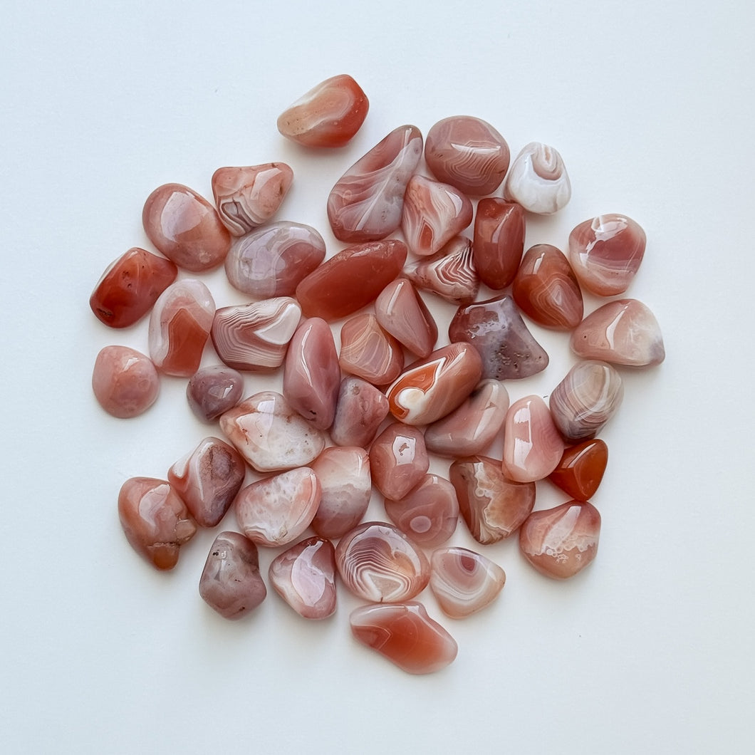 Multiple Botswana Agate tumbled stones in earthy tones shown together; listing includes one intuitively chosen stone with a meaning card and bag.