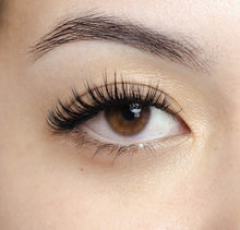 Load image into Gallery viewer, Classic Eyelash Extension Certification Monterey
