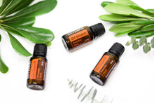 Load image into Gallery viewer, doTERRA On Guard Essential Oil
